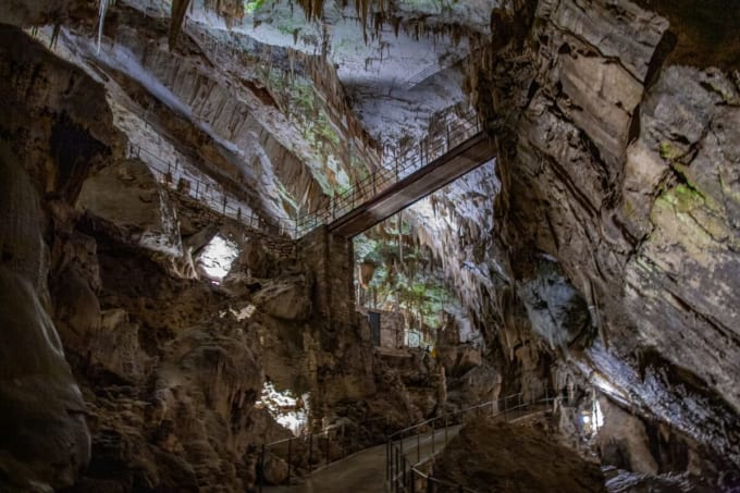 ポストイナ鍾乳洞（スロベニア）