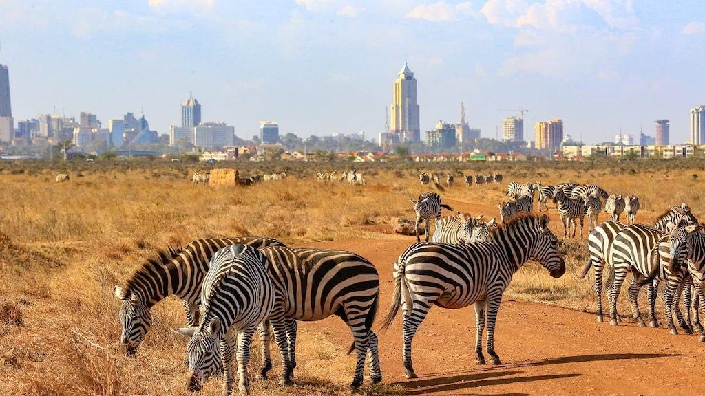 ナイロビでのおすすめ観光スポット8選！ケニアの大自然と大都市が共存する街