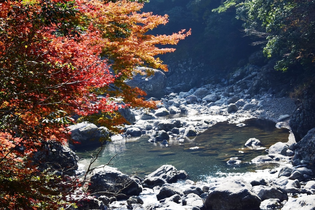 おいしい宮崎の名産品がいっぱい！水郷・延岡でおすすめのお土産7選