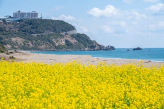 恋人の聖地、伊良湖