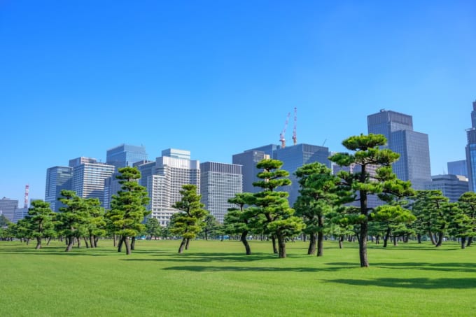 皇居外苑（松林と丸ノ内・大手町ビル群）