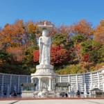 秋の奉恩寺、そして弥勒大仏