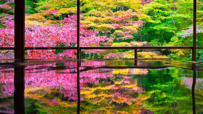 京都八瀬　瑠璃光院