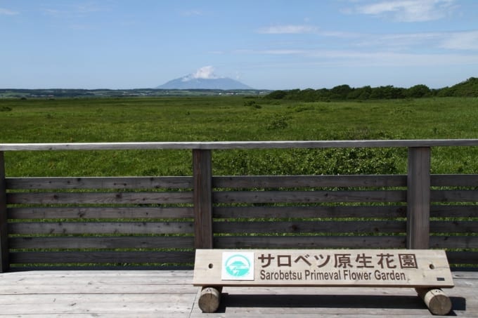 サロベツ原生花園