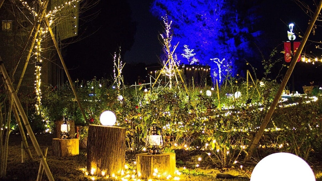 スカイスポーツでも有名な茨城県、石岡の観光スポットをご紹介