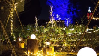 いばらきフラワーパークのイルミネーション