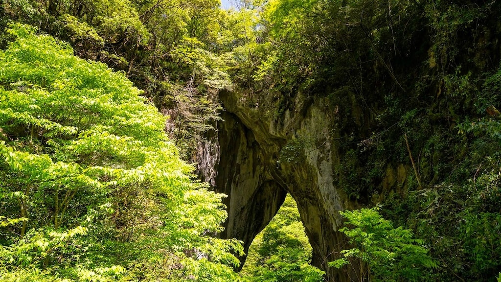 岡山県新見市の観光スポット11選！カルスト台地に広がる自然美を体感