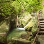 蒸し返る緑が美しい、寂地峡の竜頭の滝