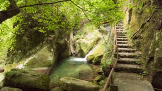 蒸し返る緑が美しい、寂地峡の竜頭の滝