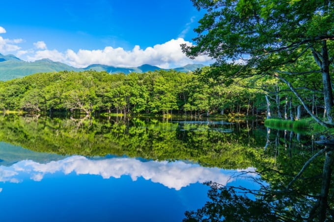 知床五湖（北海道）