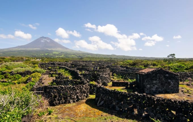 ピコ島のブドウ畑文化の景観（ポルトガル世界遺産）