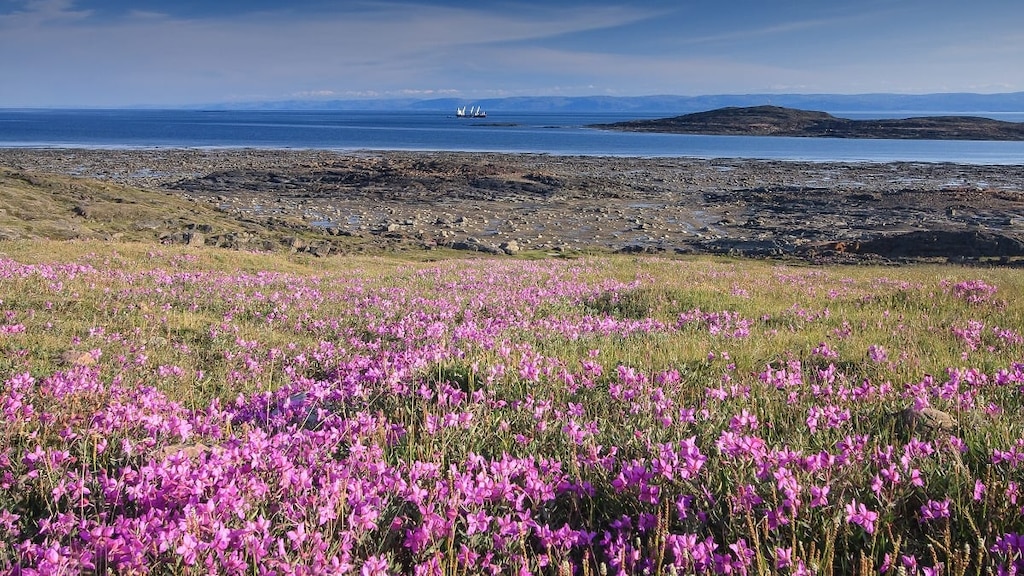 【カナダ・ヌナブト準州】イカルイト観光で北極圏の自然と文化を楽しもう！