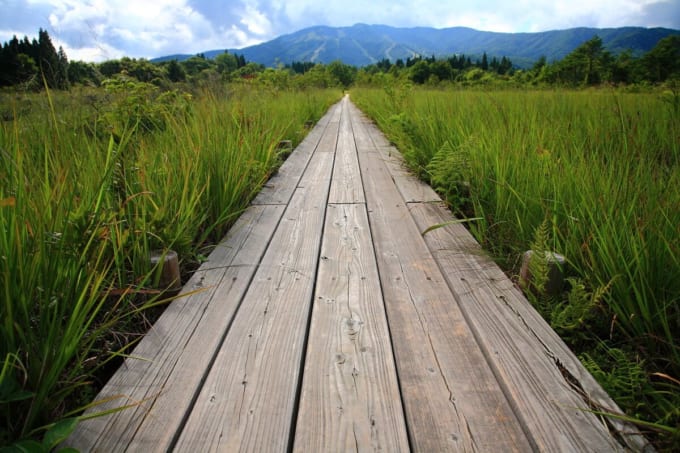 ひるがの湿原植物園（岐阜県）