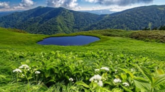 会津駒ヶ岳稜線の池塘