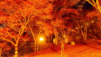 笠置山自然公園の紅葉