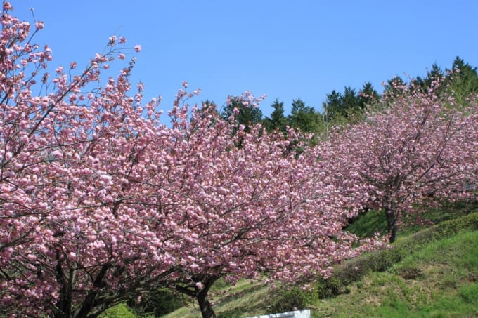 富谷山ふれあい公園