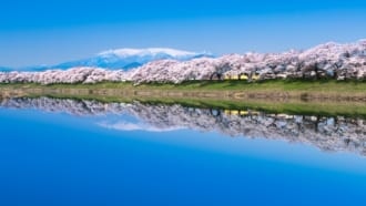 宮城県柴田郡大河原町