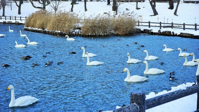 高松公園（岩手県）