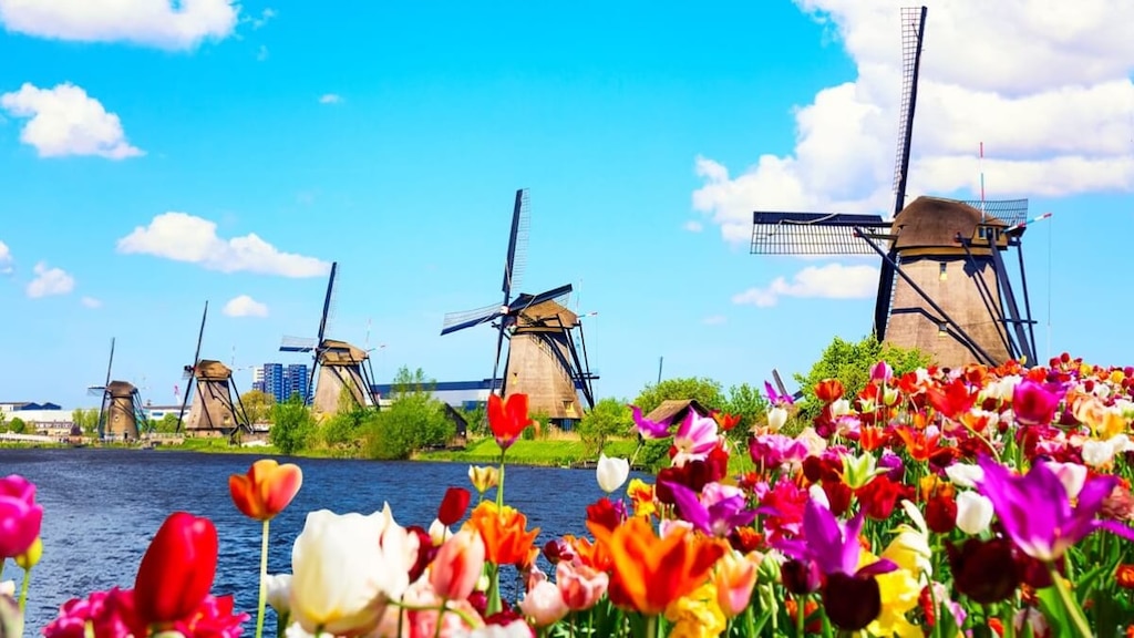 オランダ旅行で訪れたい！人気観光スポット12選【絶景＆名所ガイド】