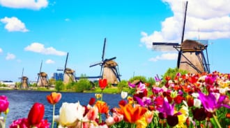 オランダ風車とチューリップ