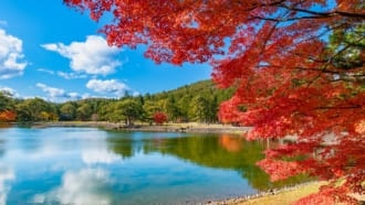 紅葉の毛越寺　庭園