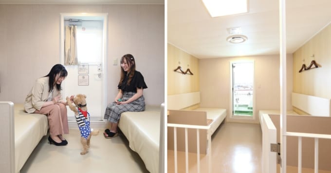 津軽海峡フェリー「プライベートドッグルーム＆専用ドッグバルコニー」