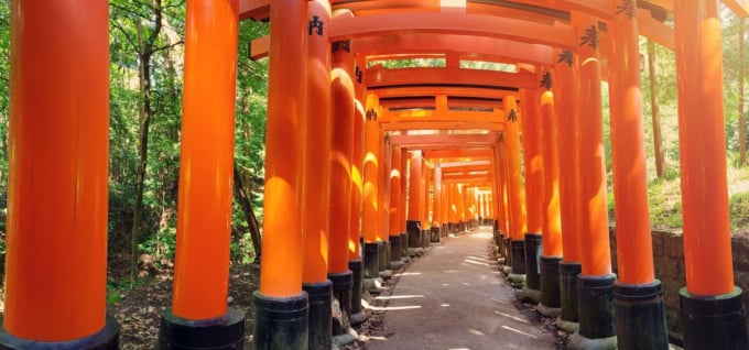 伏見稲荷大社　千本鳥居