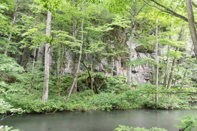 奥入瀬渓流　屏風岩