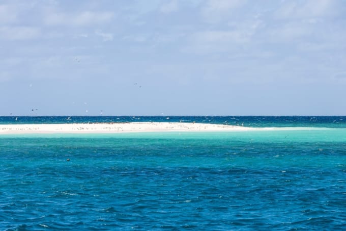 ミコマス・ケイ