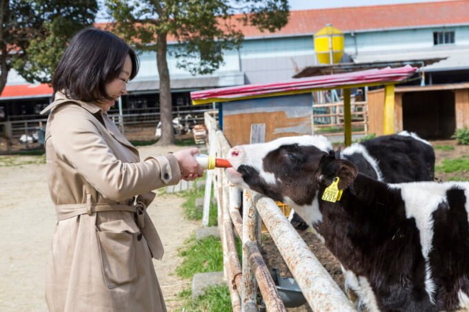 淡路島牧場（兵庫県南あわじ市）