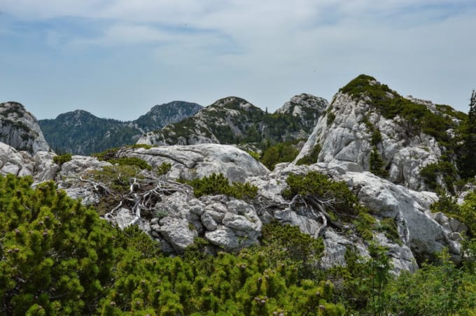 北ヴェレビト国立公園（クロアチア）