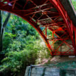 等々力渓谷は23区内唯一の渓谷