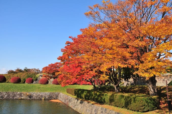 五稜郭公園の紅葉（北海道函館市）