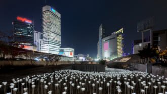 夜のDDPとライトアップ