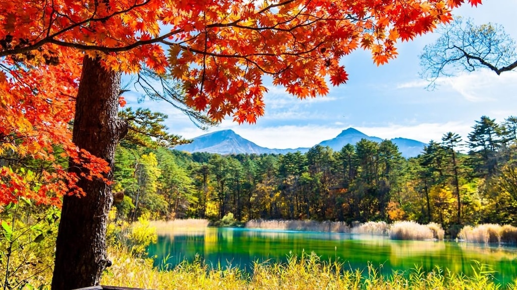 五色沼湖沼群 | さまざまな色に変化する沼の散策コースをご紹介