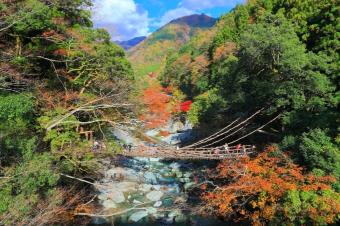 2023年 夏休み どこ行く 祖谷のかずら橋
