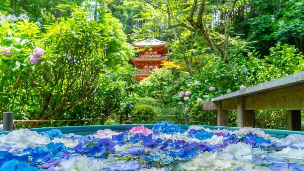 かつて都がおかれた木津川。歴史と豊かな自然スポット 5選