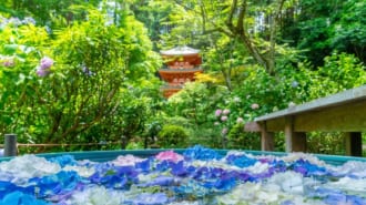 岩船寺（あじさい寺）