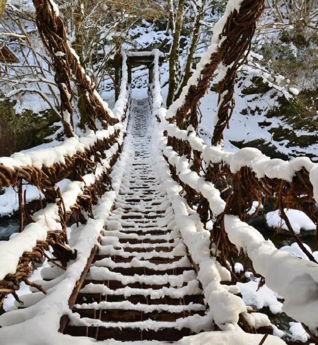 雪の 奥祖谷二重かずら橋（冬の徳島県）
