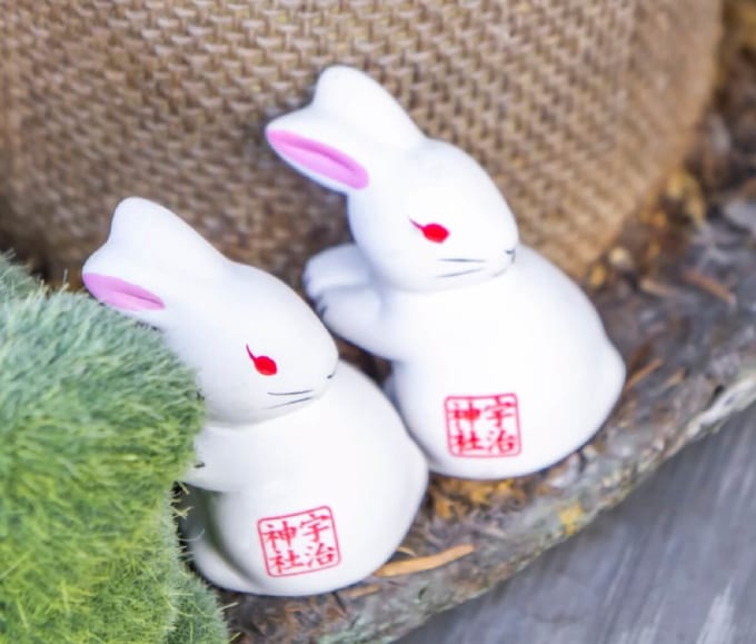 宇治神社　みかえり兎おみくじ