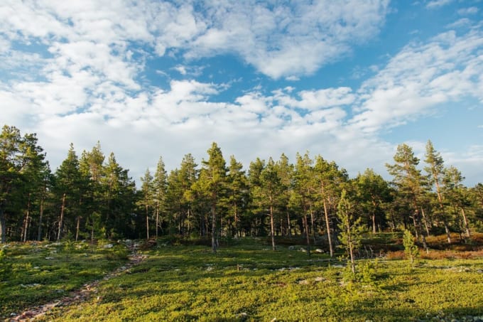 ハイ・コースト　スウェーデンの世界遺産をハイキング