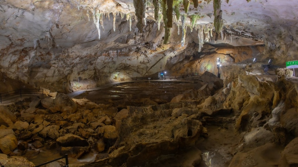 【山口県】秋芳洞の観光情報をご紹介！洞窟探検で非日常を満喫！？