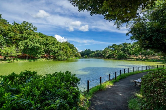 埼玉県営大宮公園
