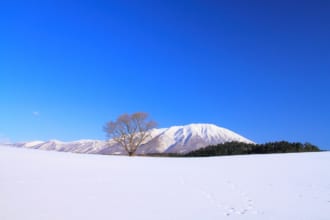 雪の小岩井農場と岩手山