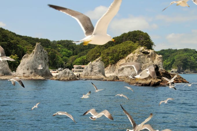 浄土ヶ浜 遊覧船からの景色