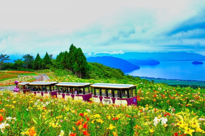 びわこ箱館山（滋賀県高島市）