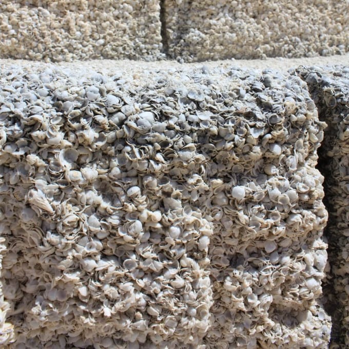 貝殻ブロックのある街、デナム