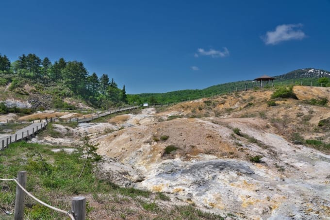 後生掛自然研究路