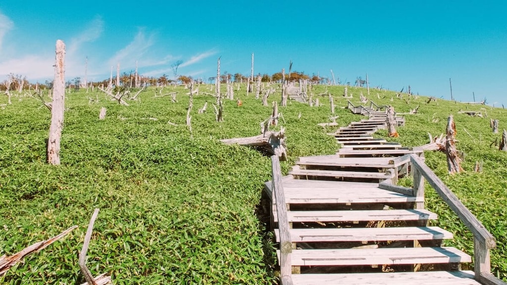 山全体が天然記念物！日本百名山にも選ばれた大台ヶ原の観光スポット4選