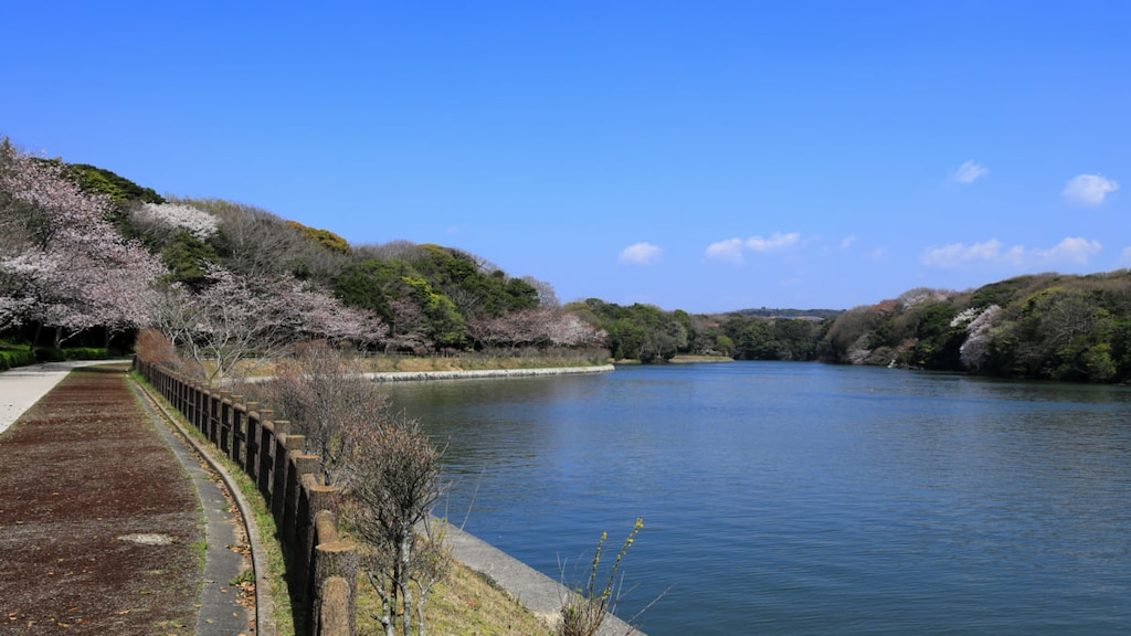 宇部市ときわ公園にある観光の魅力！湖のある広大な都市公園とは？